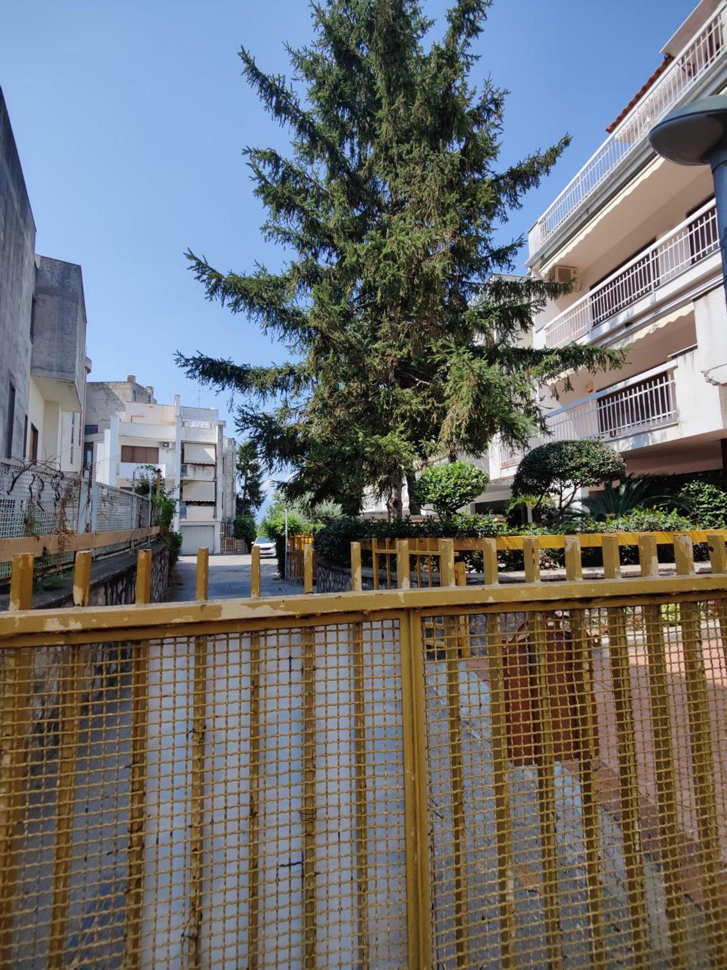 Villa Varano Castellammare di Stabia Esterno foto